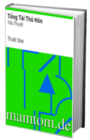 Tổng Tài Thử Hôn