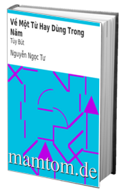 Về Một Từ Hay Dùng Trong Năm