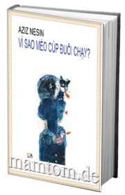 Vì Sao Mèo Cúp Đuôi Chạy