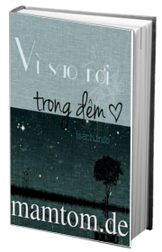 Vì Sao Rơi Trong Đêm