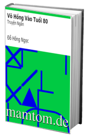 Võ Hồng Vào Tuổi 80